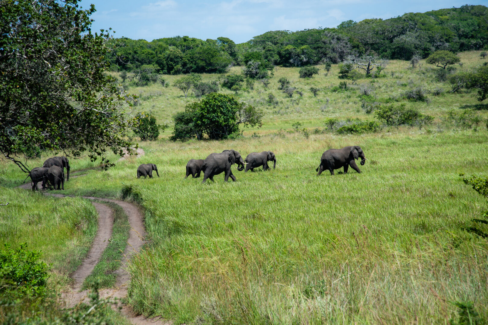 Maputo National Park